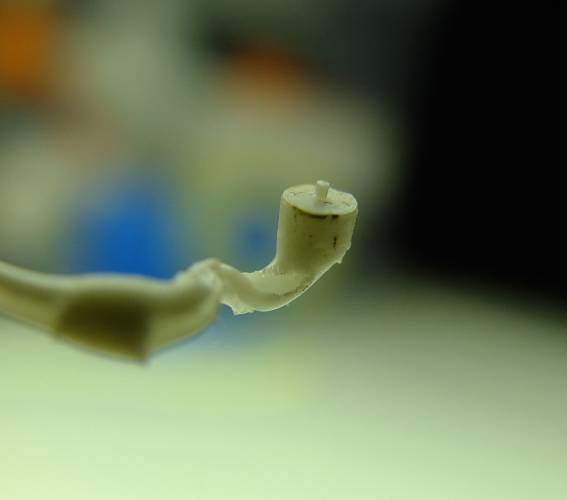 cleaned_nozzle.jpg